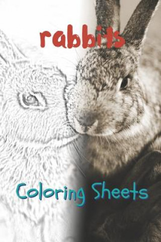 Carte Rabbit Coloring Sheets: 30 Rabbit Drawings, Coloring Sheets Adults Relaxation, Coloring Book for Kids, for Girls, Volume 2 Julian Smith