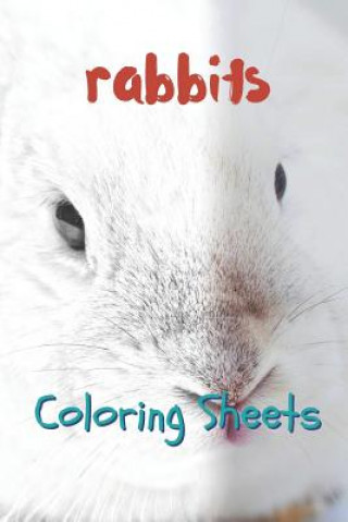 Carte Rabbit Coloring Sheets: 30 Rabbit Drawings, Coloring Sheets Adults Relaxation, Coloring Book for Kids, for Girls, Volume 3 Julian Smith
