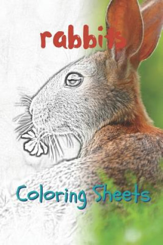 Carte Rabbit Coloring Sheets: 30 Rabbit Drawings, Coloring Sheets Adults Relaxation, Coloring Book for Kids, for Girls, Volume 4 Julian Smith