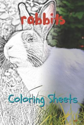 Carte Rabbit Coloring Sheets: 30 Rabbit Drawings, Coloring Sheets Adults Relaxation, Coloring Book for Kids, for Girls, Volume 5 Julian Smith