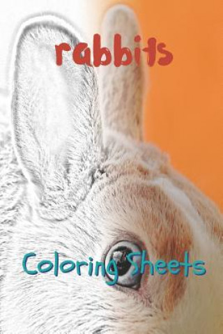 Carte Rabbit Coloring Sheets: 30 Rabbit Drawings, Coloring Sheets Adults Relaxation, Coloring Book for Kids, for Girls, Volume 6 Julian Smith