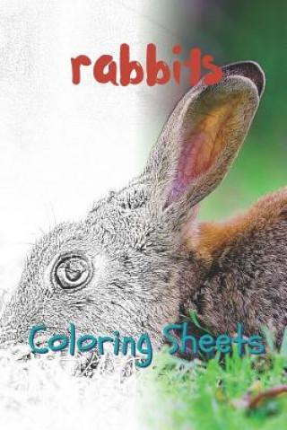 Carte Rabbit Coloring Sheets: 30 Rabbit Drawings, Coloring Sheets Adults Relaxation, Coloring Book for Kids, for Girls, Volume 7 Julian Smith