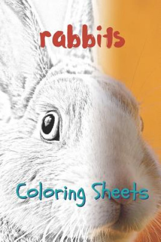 Carte Rabbit Coloring Sheets: 30 Rabbit Drawings, Coloring Sheets Adults Relaxation, Coloring Book for Kids, for Girls, Volume 8 Julian Smith