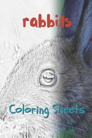 Carte Rabbit Coloring Sheets: 30 Rabbit Drawings, Coloring Sheets Adults Relaxation, Coloring Book for Kids, for Girls, Volume 9 Julian Smith