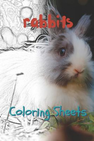 Carte Rabbit Coloring Sheets: 30 Rabbit Drawings, Coloring Sheets Adults Relaxation, Coloring Book for Kids, for Girls, Volume 10 Julian Smith