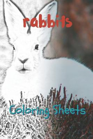 Carte Rabbit Coloring Sheets: 30 Rabbit Drawings, Coloring Sheets Adults Relaxation, Coloring Book for Kids, for Girls, Volume 11 Julian Smith