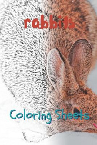 Carte Rabbit Coloring Sheets: 30 Rabbit Drawings, Coloring Sheets Adults Relaxation, Coloring Book for Kids, for Girls, Volume 12 Julian Smith
