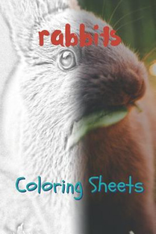 Carte Rabbit Coloring Sheets: 30 Rabbit Drawings, Coloring Sheets Adults Relaxation, Coloring Book for Kids, for Girls, Volume 13 Julian Smith