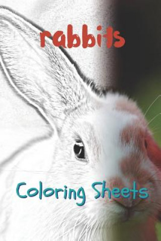 Carte Rabbit Coloring Sheets: 30 Rabbit Drawings, Coloring Sheets Adults Relaxation, Coloring Book for Kids, for Girls, Volume 14 Julian Smith