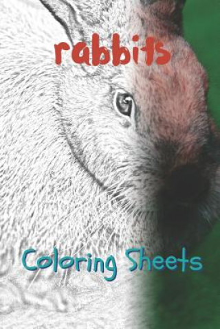 Carte Rabbit Coloring Sheets: 30 Rabbit Drawings, Coloring Sheets Adults Relaxation, Coloring Book for Kids, for Girls, Volume 15 Julian Smith