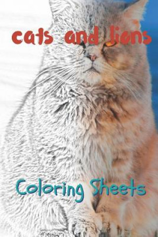 Kniha Cat and Lion Coloring Sheets: 30 Cat and Lion Drawings, Coloring Sheets Adults Relaxation, Coloring Book for Kids, for Girls, Volume 1 Julian Smith