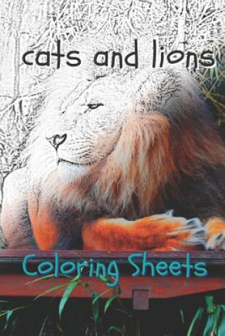 Kniha Cat and Lion Coloring Sheets: 30 Cat and Lion Drawings, Coloring Sheets Adults Relaxation, Coloring Book for Kids, for Girls, Volume 7 Julian Smith