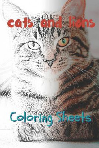 Kniha Cat and Lion Coloring Sheets: 30 Cat and Lion Drawings, Coloring Sheets Adults Relaxation, Coloring Book for Kids, for Girls, Volume 14 Julian Smith