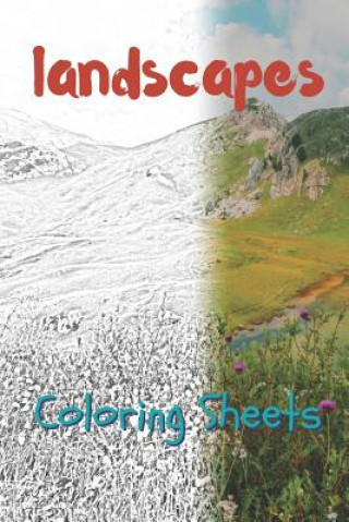 Kniha Landscape Coloring Sheets: 30 Landscape Drawings, Coloring Sheets Adults Relaxation, Coloring Book for Kids, for Girls, Volume 2 Julian Smith