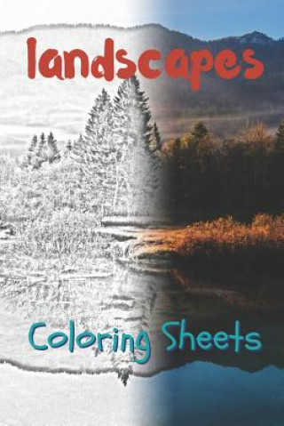 Kniha Landscape Coloring Sheets: 30 Landscape Drawings, Coloring Sheets Adults Relaxation, Coloring Book for Kids, for Girls, Volume 6 Julian Smith