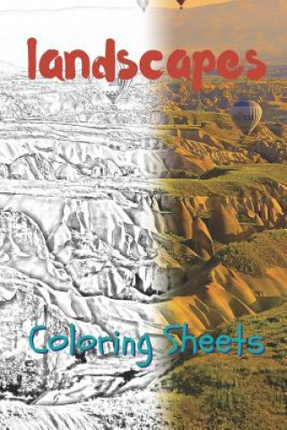Carte Landscape Coloring Sheets: 30 Landscape Drawings, Coloring Sheets Adults Relaxation, Coloring Book for Kids, for Girls, Volume 10 Julian Smith