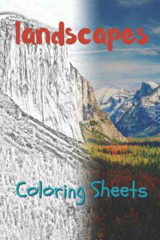 Carte Landscape Coloring Sheets: 30 Landscape Drawings, Coloring Sheets Adults Relaxation, Coloring Book for Kids, for Girls, Volume 15 Julian Smith