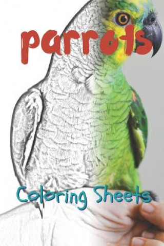 Kniha Parrot Coloring Sheets: 30 Parrot Drawings, Coloring Sheets Adults Relaxation, Coloring Book for Kids, for Girls, Volume 1 Julian Smith