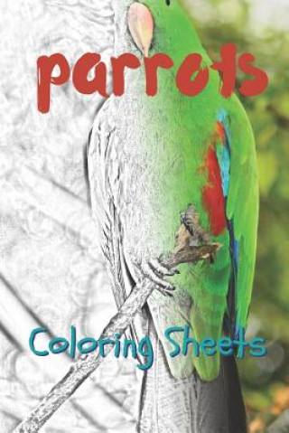 Kniha Parrot Coloring Sheets: 30 Parrot Drawings, Coloring Sheets Adults Relaxation, Coloring Book for Kids, for Girls, Volume 2 Julian Smith