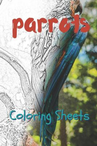 Kniha Parrot Coloring Sheets: 30 Parrot Drawings, Coloring Sheets Adults Relaxation, Coloring Book for Kids, for Girls, Volume 4 Julian Smith