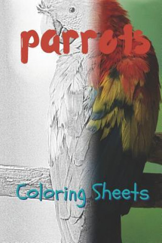 Kniha Parrot Coloring Sheets: 30 Parrot Drawings, Coloring Sheets Adults Relaxation, Coloring Book for Kids, for Girls, Volume 5 Julian Smith