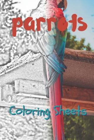 Kniha Parrot Coloring Sheets: 30 Parrot Drawings, Coloring Sheets Adults Relaxation, Coloring Book for Kids, for Girls, Volume 6 Julian Smith