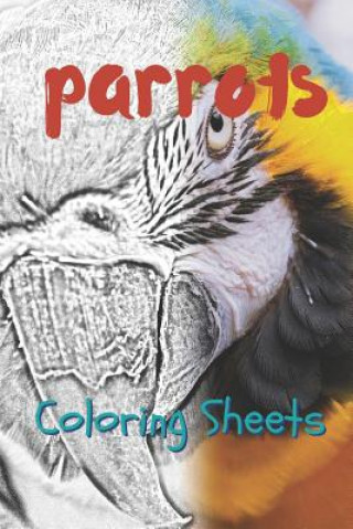 Kniha Parrot Coloring Sheets: 30 Parrot Drawings, Coloring Sheets Adults Relaxation, Coloring Book for Kids, for Girls, Volume 7 Julian Smith