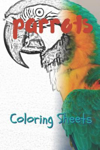 Kniha Parrot Coloring Sheets: 30 Parrot Drawings, Coloring Sheets Adults Relaxation, Coloring Book for Kids, for Girls, Volume 8 Julian Smith