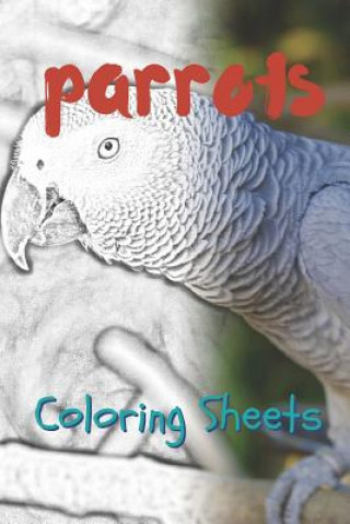 Kniha Parrot Coloring Sheets: 30 Parrot Drawings, Coloring Sheets Adults Relaxation, Coloring Book for Kids, for Girls, Volume 9 Julian Smith