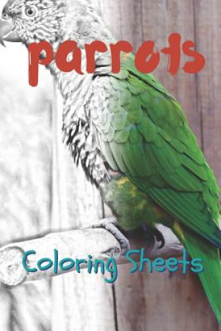 Kniha Parrot Coloring Sheets: 30 Parrot Drawings, Coloring Sheets Adults Relaxation, Coloring Book for Kids, for Girls, Volume 10 Julian Smith