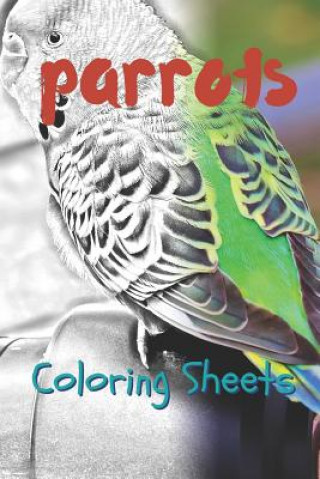 Kniha Parrot Coloring Sheets: 30 Parrot Drawings, Coloring Sheets Adults Relaxation, Coloring Book for Kids, for Girls, Volume 11 Julian Smith