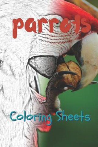 Kniha Parrot Coloring Sheets: 30 Parrot Drawings, Coloring Sheets Adults Relaxation, Coloring Book for Kids, for Girls, Volume 12 Julian Smith