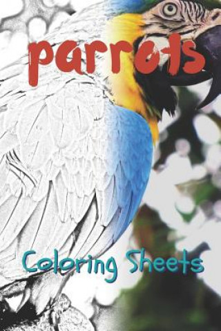 Kniha Parrot Coloring Sheets: 30 Parrot Drawings, Coloring Sheets Adults Relaxation, Coloring Book for Kids, for Girls, Volume 13 Julian Smith