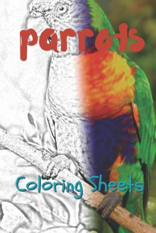 Kniha Parrot Coloring Sheets: 30 Parrot Drawings, Coloring Sheets Adults Relaxation, Coloring Book for Kids, for Girls, Volume 14 Julian Smith