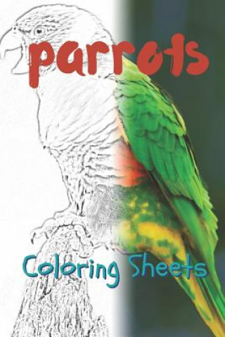 Kniha Parrot Coloring Sheets: 30 Parrot Drawings, Coloring Sheets Adults Relaxation, Coloring Book for Kids, for Girls, Volume 15 Julian Smith