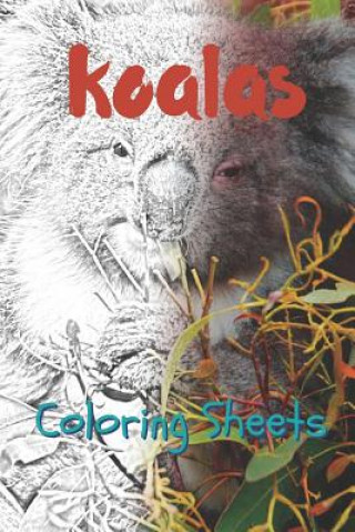 Kniha Koala Coloring Sheets: 30 Koala Drawings, Coloring Sheets Adults Relaxation, Coloring Book for Kids, for Girls, Volume 2 Julian Smith