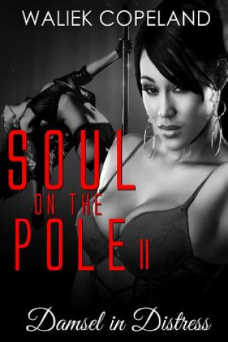 Kniha Soul on the Pole 2: Damsel in Distress Waliek Copeland