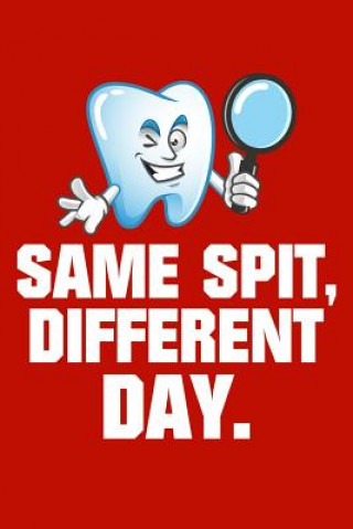 Książka Same Spit, Different Day Windstone Publishing