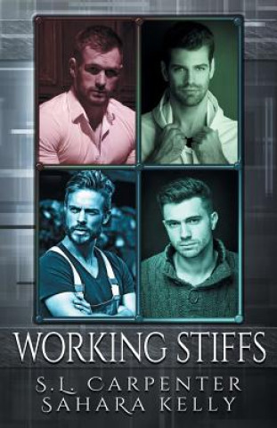 Boek Working Stiffs Sahara Kelly
