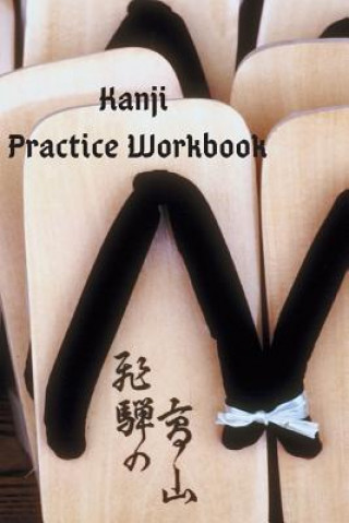 Buch Kanji Practice Workbook J. Schaul