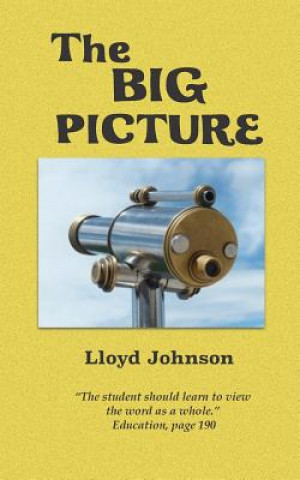 Buch The Big Picture Lloyd Johnson