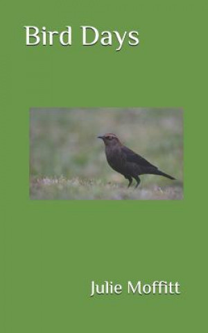 Libro Bird Days Julie Moffitt