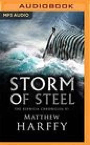 Digital Storm of Steel Matthew Harffy