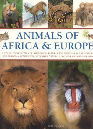 Könyv Animals of Africa and Europe Tom Jackson
