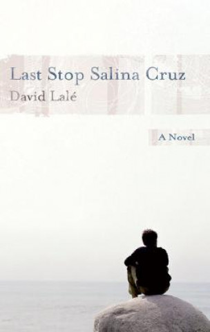 Книга Last Stop Salina Cruz David Lale