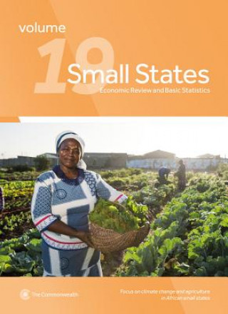 Buch Small States: Economic Review and Basic Statistics, Volume 19 Commonwealth Secretariat