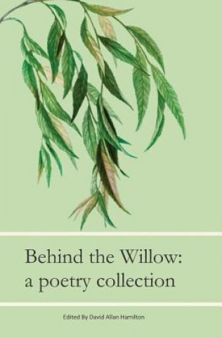 Kniha Beyond The Willow: A Poetry Collection Pearl Williams