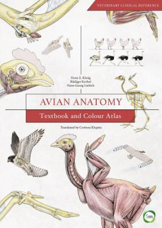Kniha Avian Anatomy: Textbook and Colour Atlas Horst E. Koenig