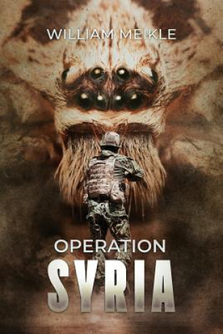 Carte Operation Syria William Meikle