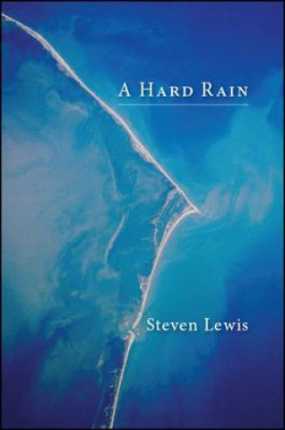 Carte A Hard Rain Steven Lewis
